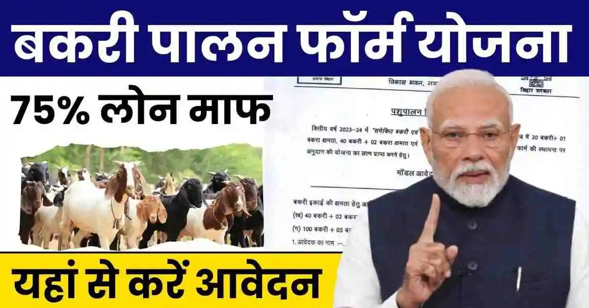 Bakri Palan Farm Yojana 2025: जानिए कैसे मिलेगा 75% तक अनुदान 1 Bakri Palan Farm Yojana 2025