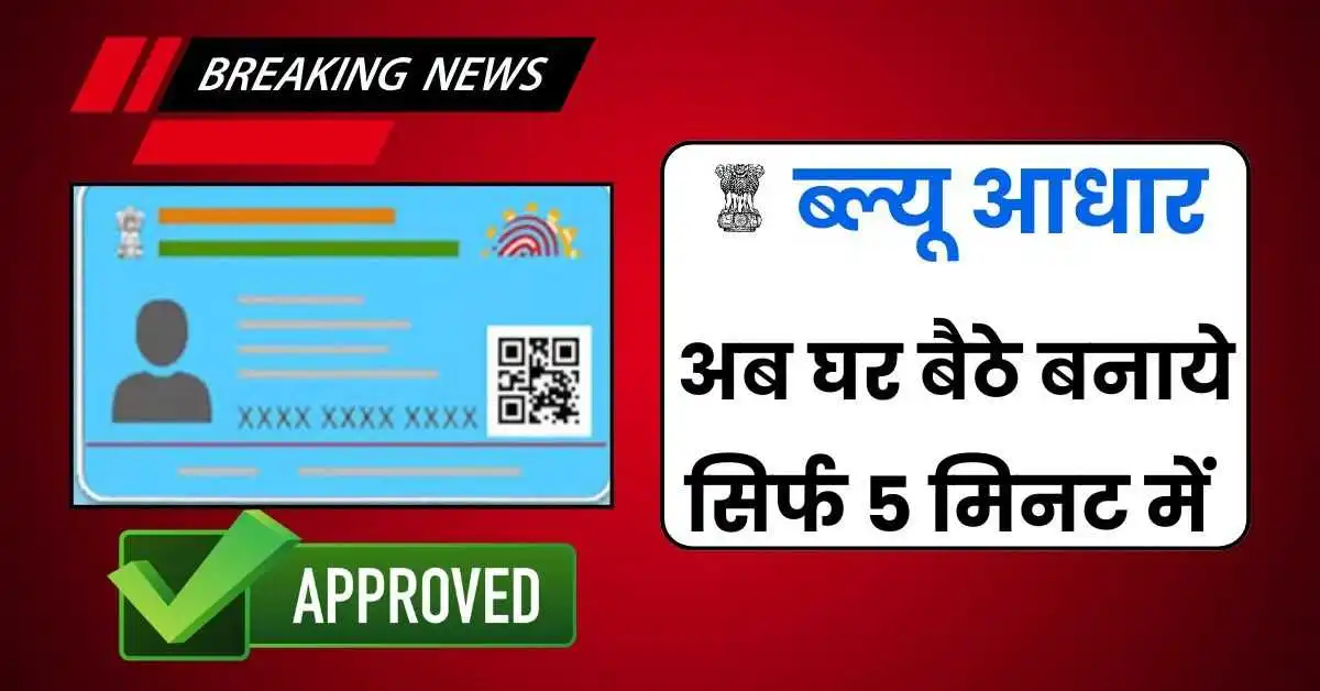 Blue Aadhaar Card, blue aadhaar card apply online, blue aadhaar card age limit, blue aadhaar card documents required, blue aadhaar card benefits, blue aadhaar card in hindi, blue aadhaar card download, blue aadhaar card validity, apply blue aadhaar card, blue aadhaar card image